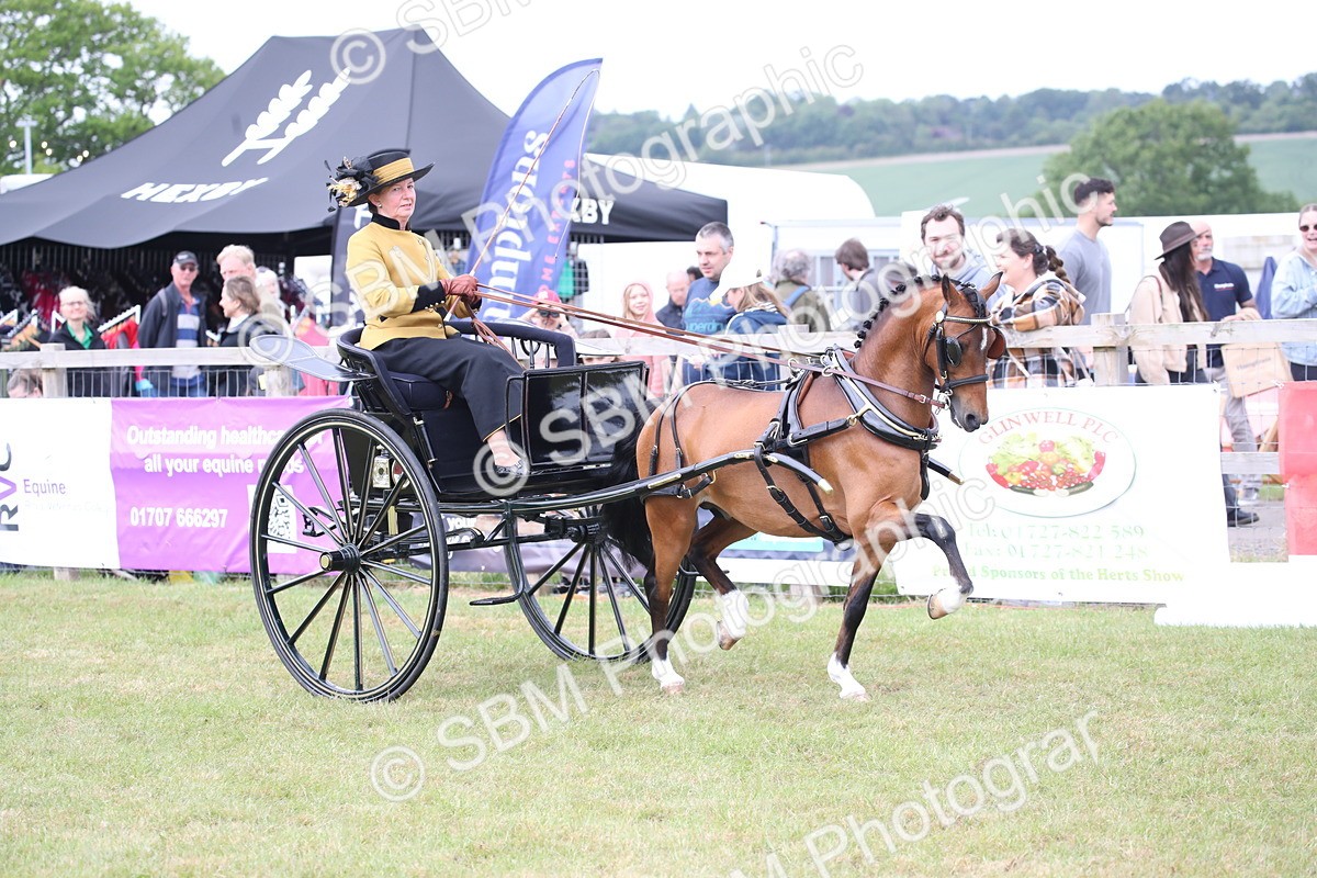 SBM_05880 - Class 12-15 - HOYS Private Driving