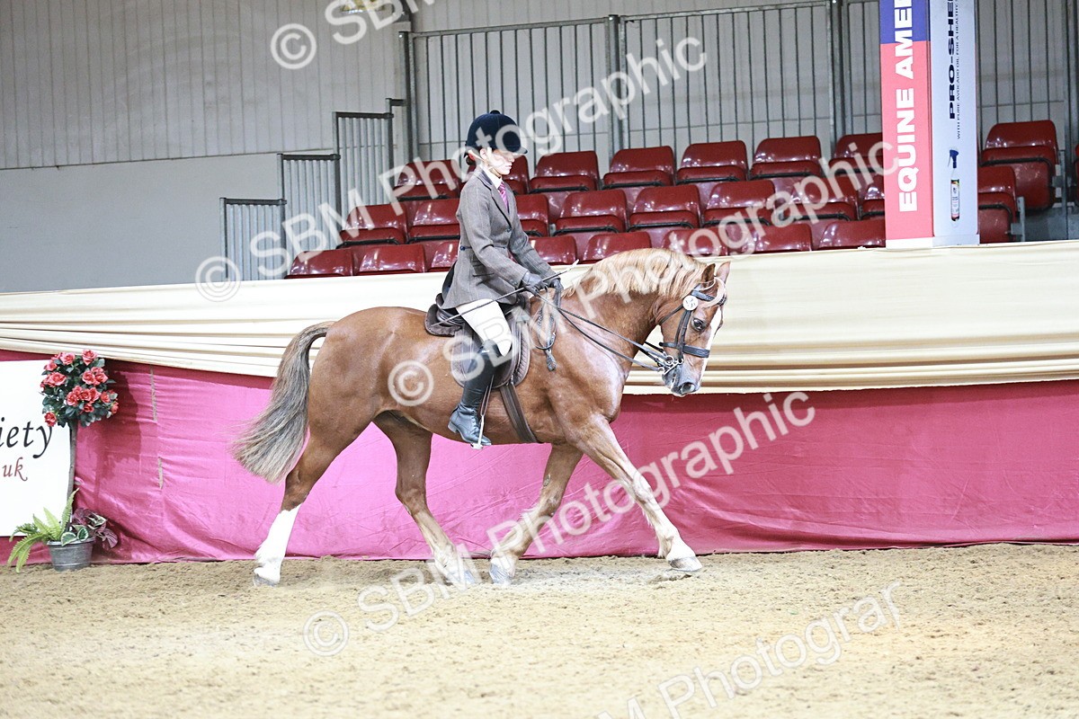 SBM_06989 - Class 10R - Regional Ridden Diamond