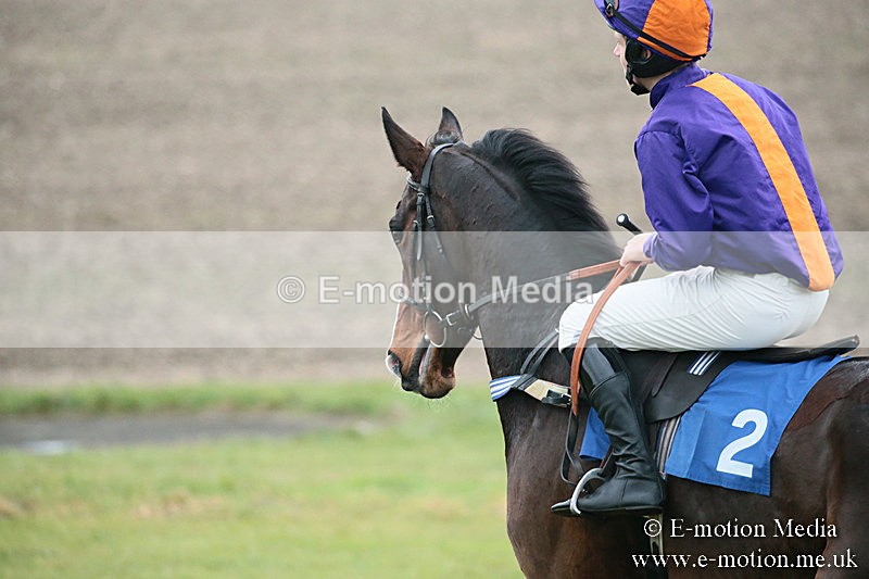 PtP 251118-196 - Vine & Craven Point-to Point Barbury Racecourse 25/11/18