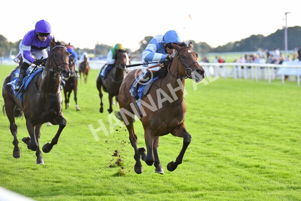 yr08102021r6-17 - Race 6 4.55pm Frank Whittle Partnership British EBF Restricted Novice Stakes