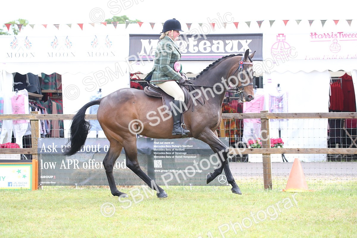SBM_11493 - Class 94 - LIHS BSHA Racehorse to Showhorse