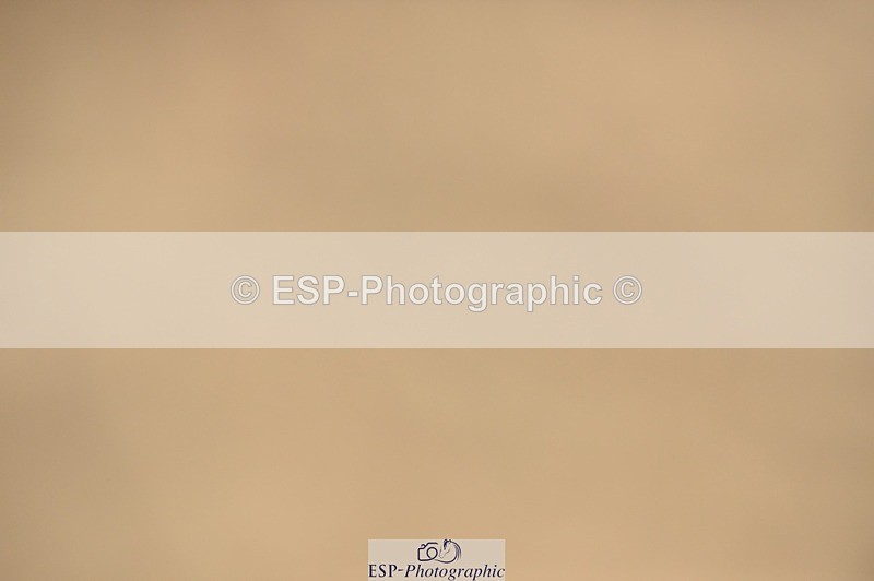 250622-093942-12813 - Quest Cls 19-24 Intro Tests