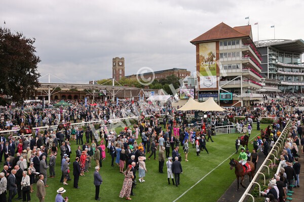 yr18082022r2-8 - Race 2 2.25pm Goffs UK Harry Beeby Premier Yearling Stakes