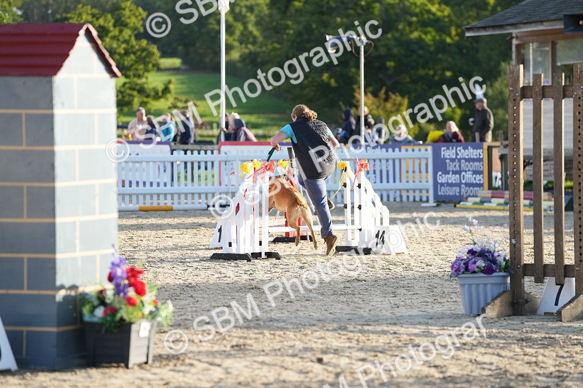 SBM_29402 - J44 - Horse & Hound Open 70cm