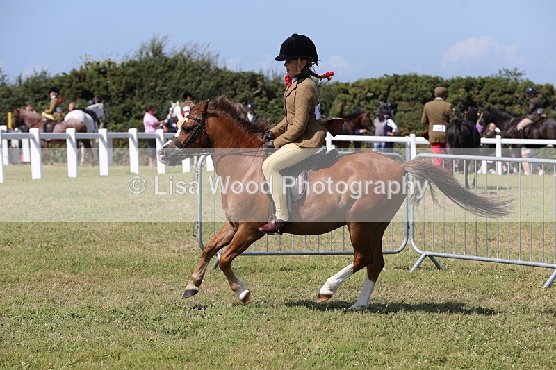 1X9A5422 - Class 37: NPS M&M First Ridden