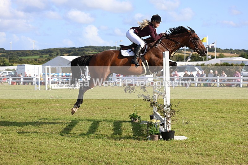 3E7A4453 - Class C: Showjumping Senior Foxhunter