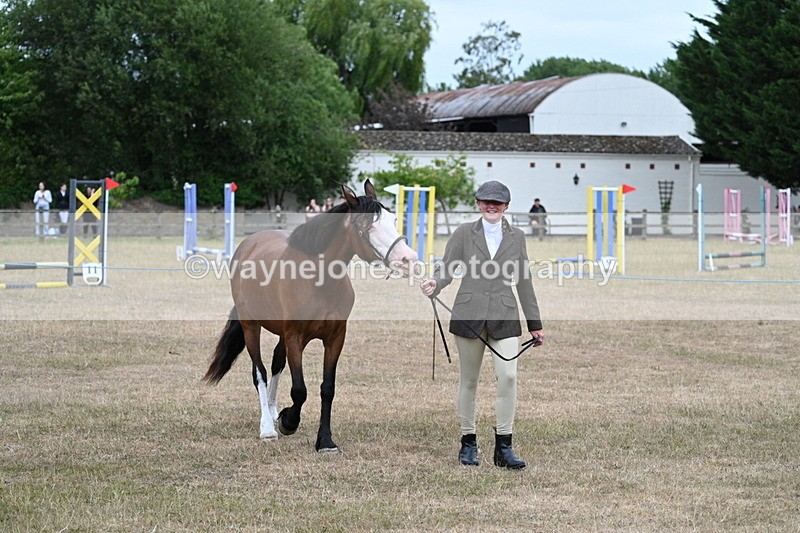 WJ7_8459 - Class 4 Prettiest Mare up to 14.2hh