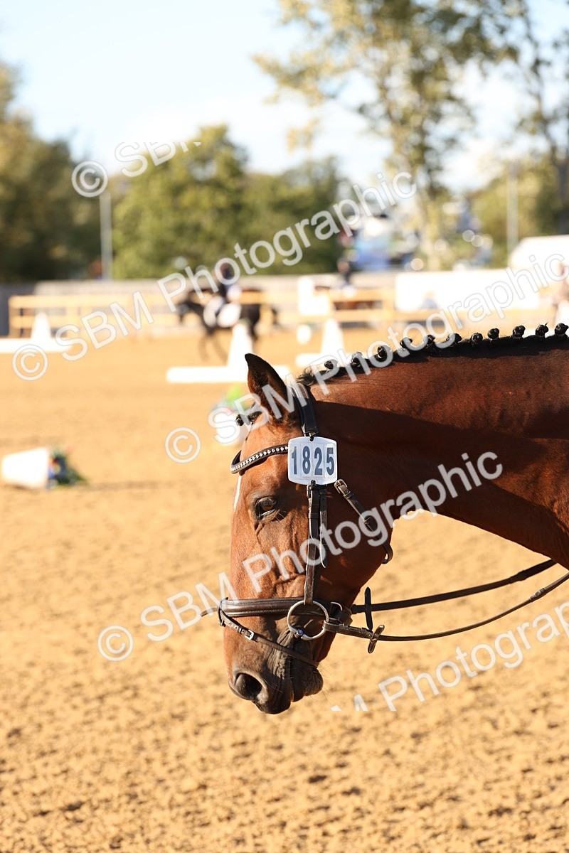 SBM_52773 - D12 - Small Tour Championship prelim 2
