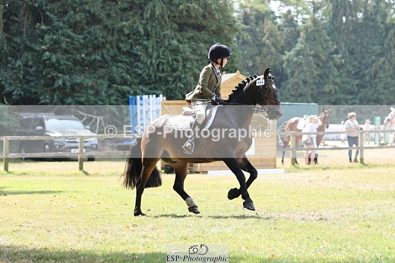 250823A-123341-29826 - Arena C