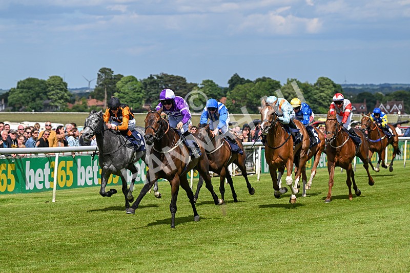 080624-Race 5-Ludos Landing-1452 - Race 5