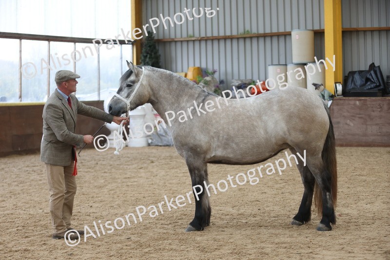 20251109-0968 - Class 26 - 2 and 4 Year Olds