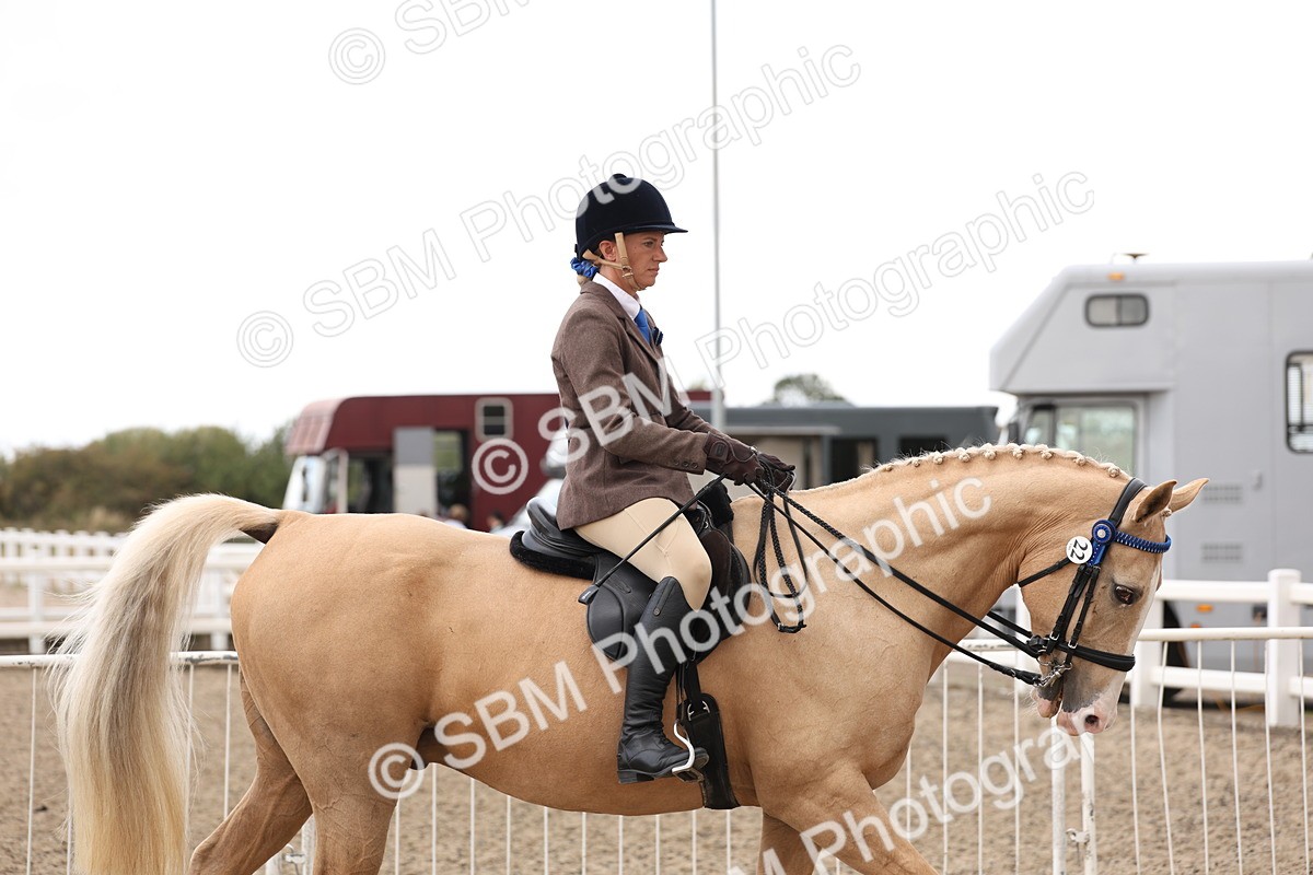 SBM_04166 - Class 54 - Riding Club Horse/Pony