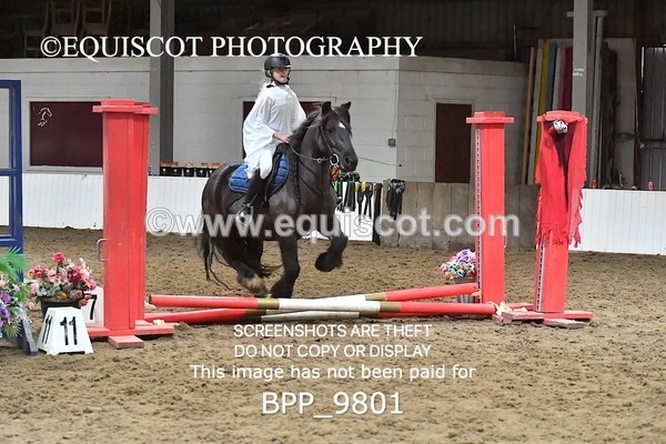 BPP_9801 - CLASS 1 CROSSPOLES