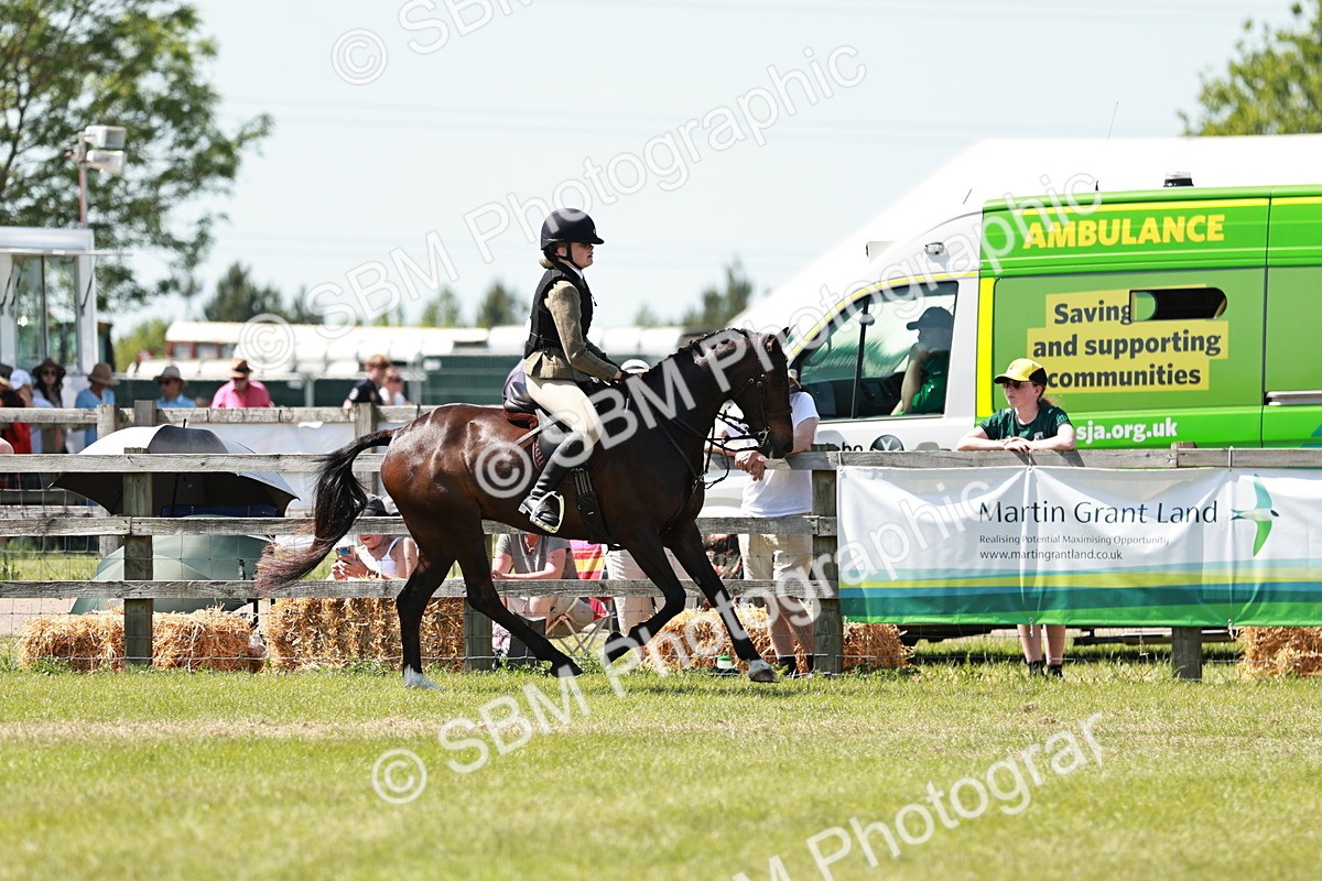 SBM_17587 - Class 112-113 - BSPS LIHS Working Sports Pony