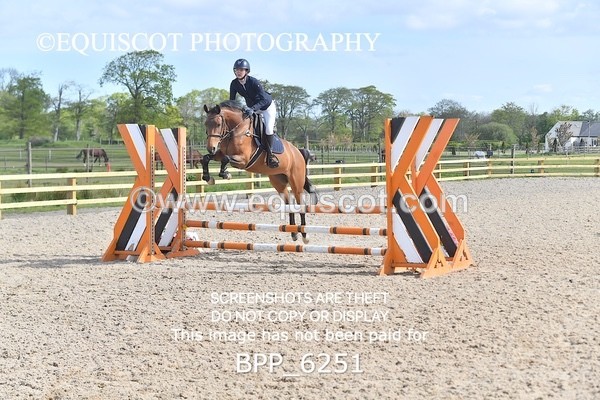 BPP_6251 - CLASS 32 MON Club/ Unaffiliated 80cms Open