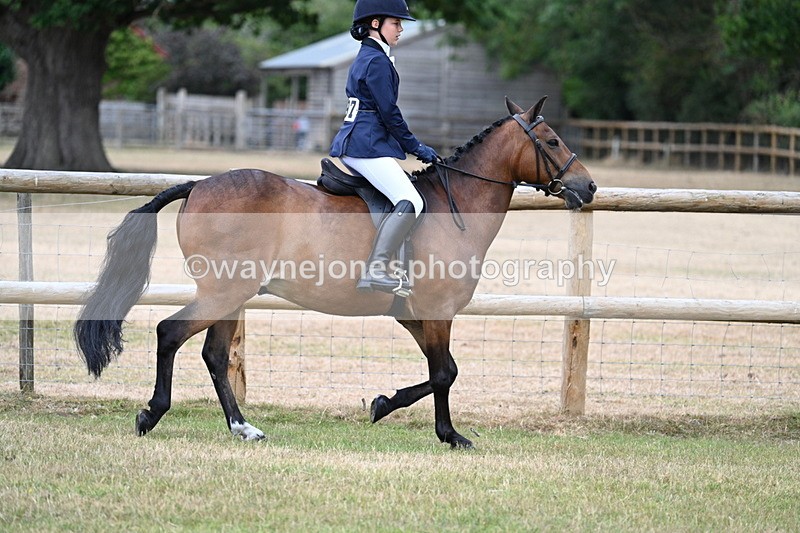 WJ7_0184 - Class 2 Best rider