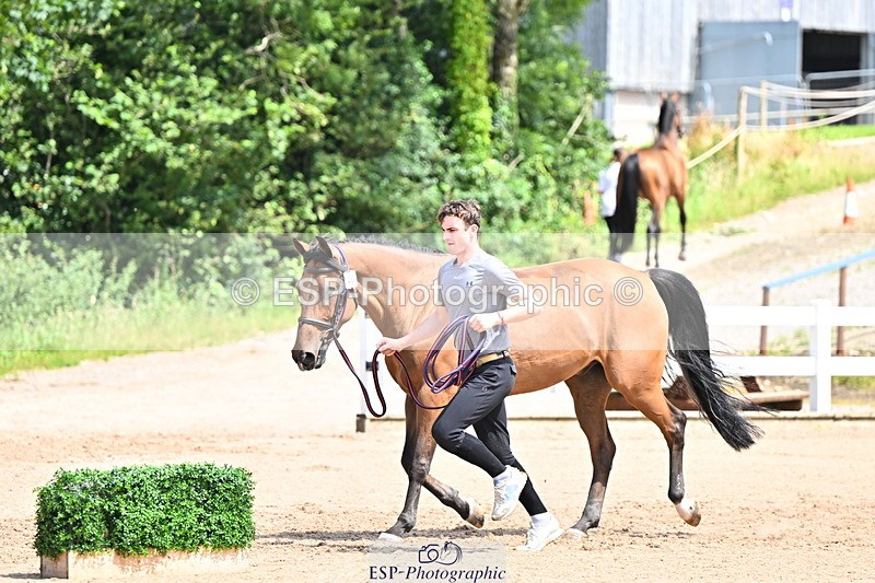 240718A-105256-01350 - Trot Up 12pm to 1pm