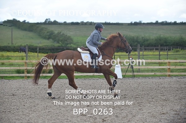 BPP_0263 - CLASS 4 Senior British Novice/ 90cm Open