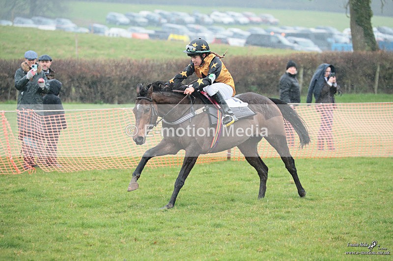 PtP 100324 208 - Pytchley with Woodland Point-to-Point Guilsborough 10/03/24