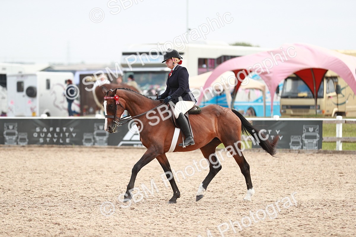 SBM_17598 - Class 215 Ridden Hack/ Riding Horse