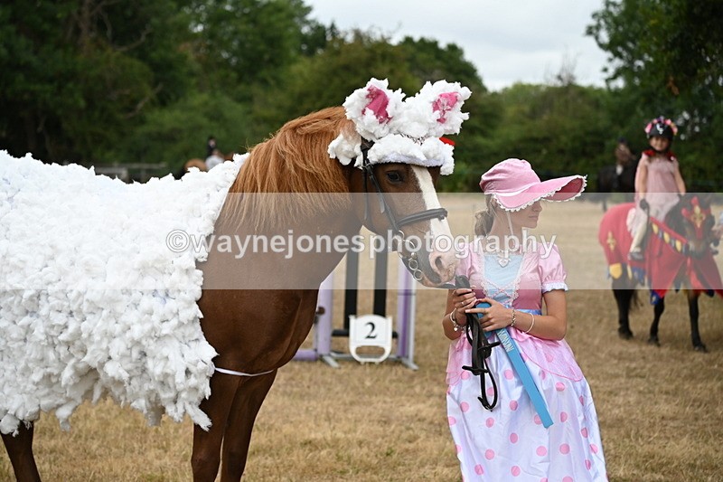 WJ6_8930 - Class 11 Fancy Dress