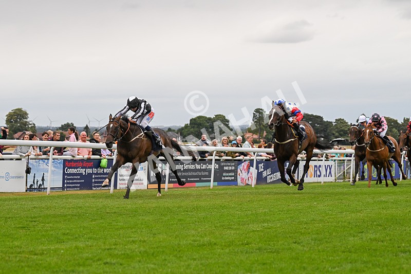 150824-Race 5-Pons Aelius-8303 - Race 5