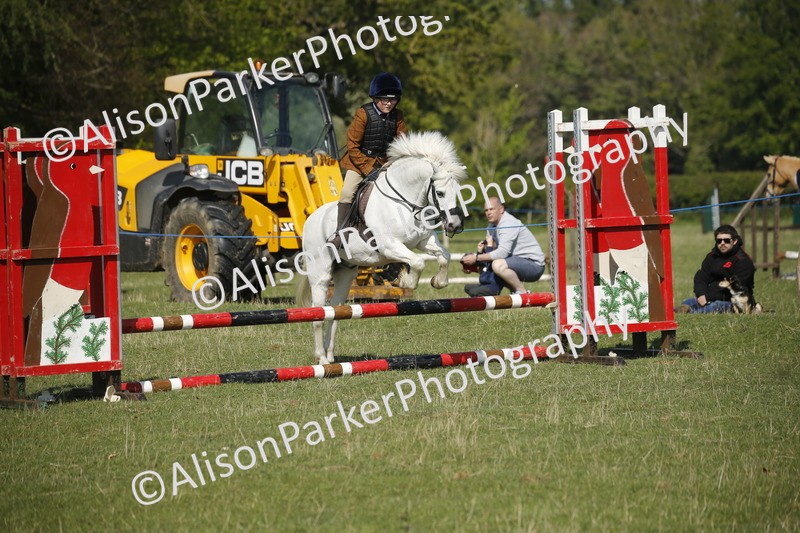 20250427-0426 - Class 12 - Rookie Jumping 40cm