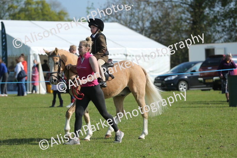 20250427-0841 - Class 1 - Mini Jumping Lead Rein or Assisted