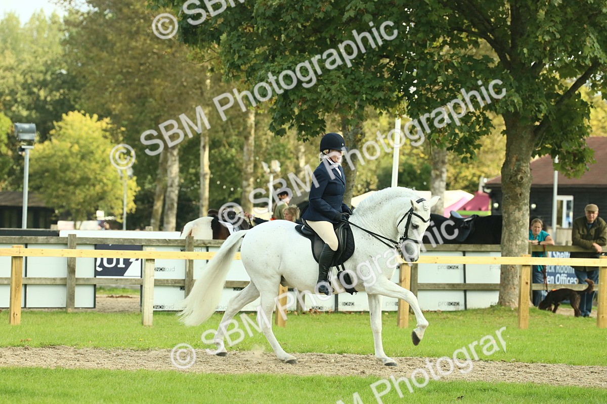 SBM_62444 - S62 - Foreign Breeds Ridden