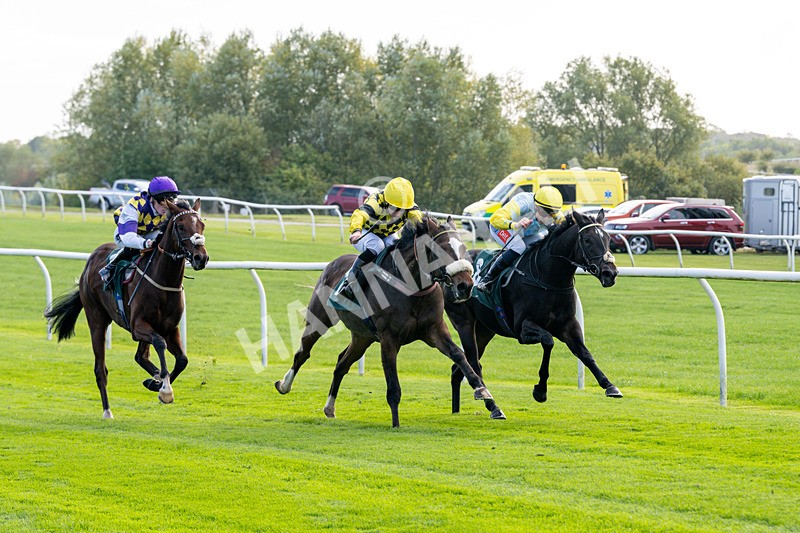 171026-Race 1-Lions Den-4800 - Race 1 1pm EBF 'Confined' Restricted Maiden Stakes