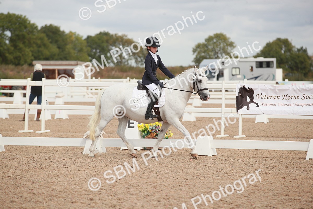 SBM_03968 - Class 31 - Prelim 1