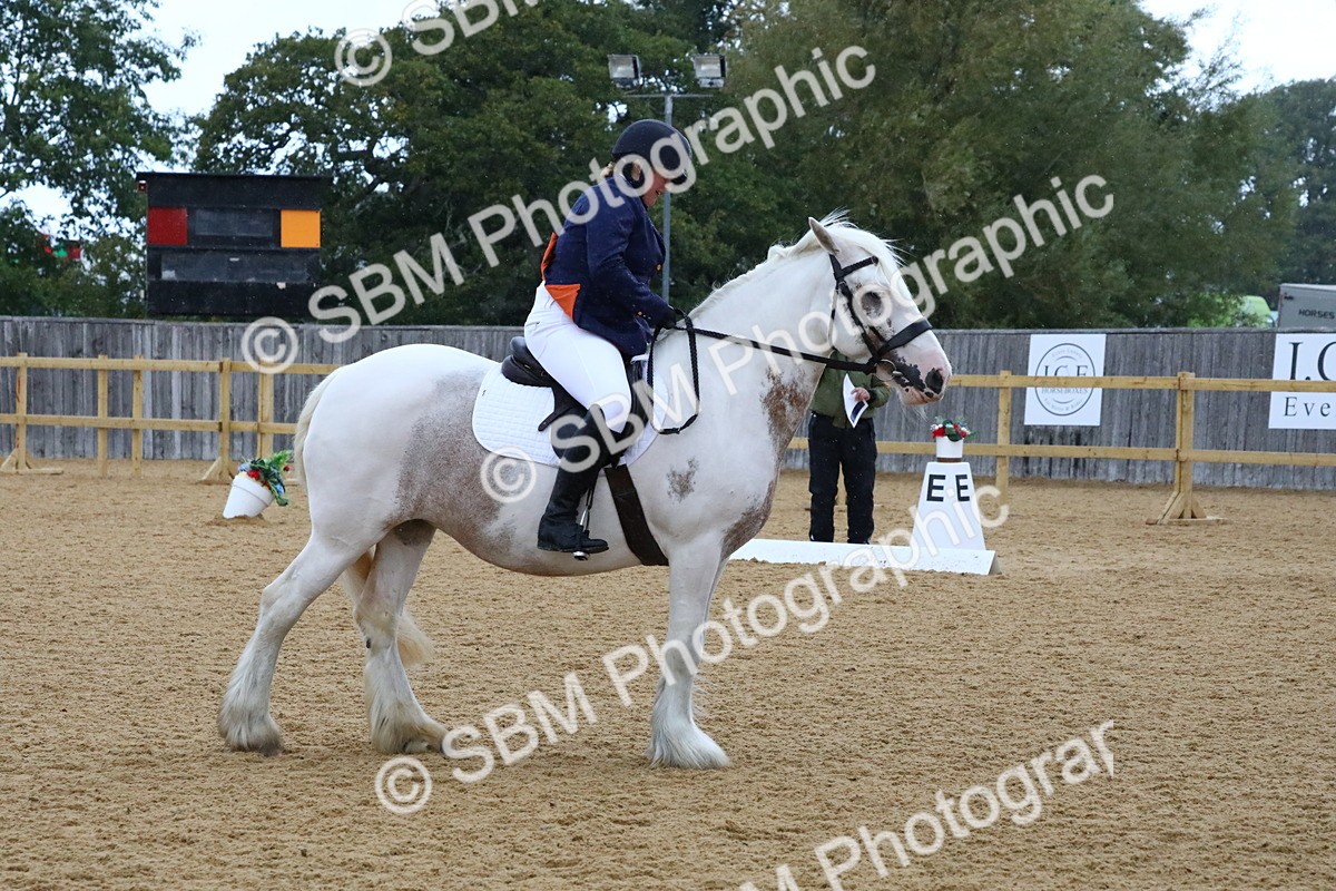 SBM_20879 - D5 - Small Tour Championshop Intro 2