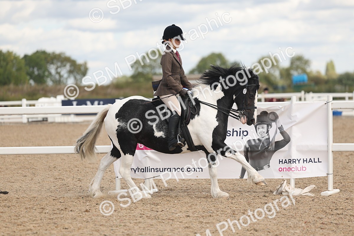 SBM_14707 - Class 307 - Ridden Coloured Pony