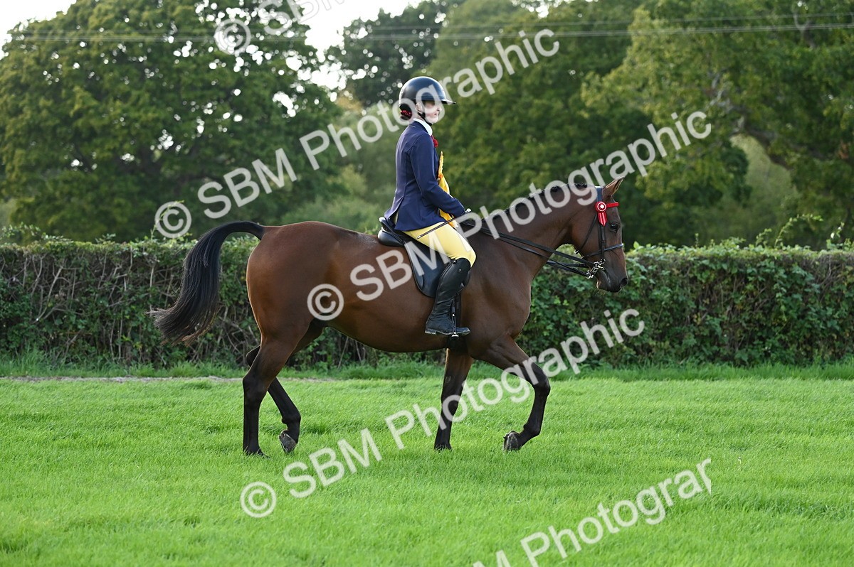 SBM_26522 - S6 - Novice & newcomer Ridden horse