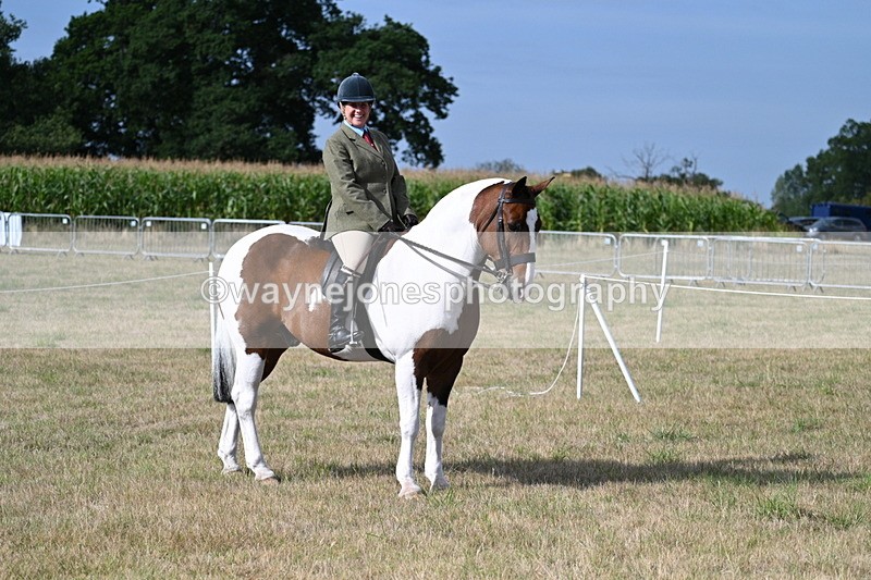 WJ7_2590 - Class 8 Ridden Tack & Turnout