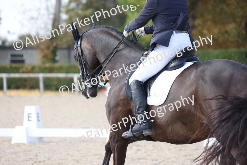 20250820-1590 - Class 21 - Advanced Medium 5