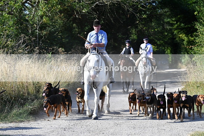WJ5_4805 - Walk out with the hounds