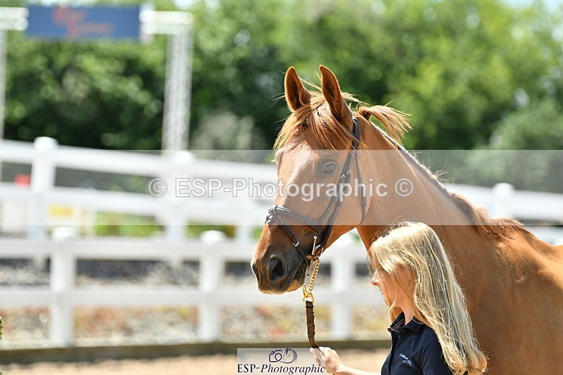 230719A-140347-00529 - Trot Up 2pm to 3pm