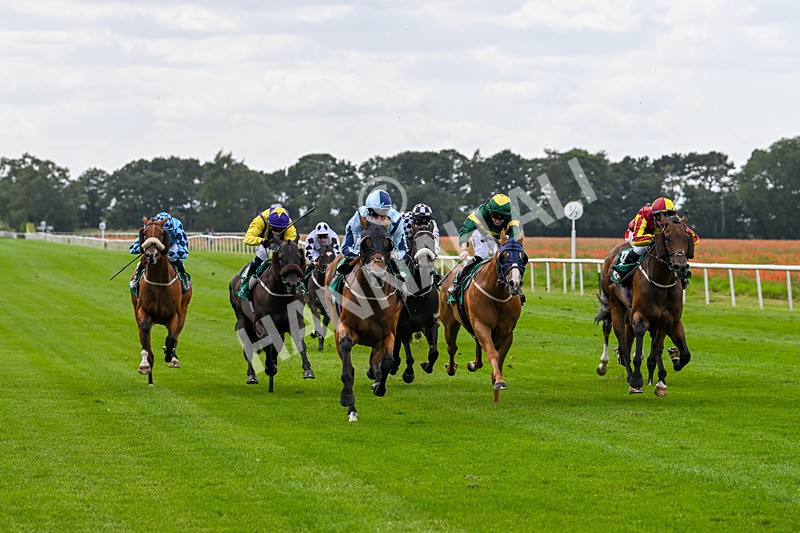 030824-Race 3-Alligator Alley-1654 - Race 3