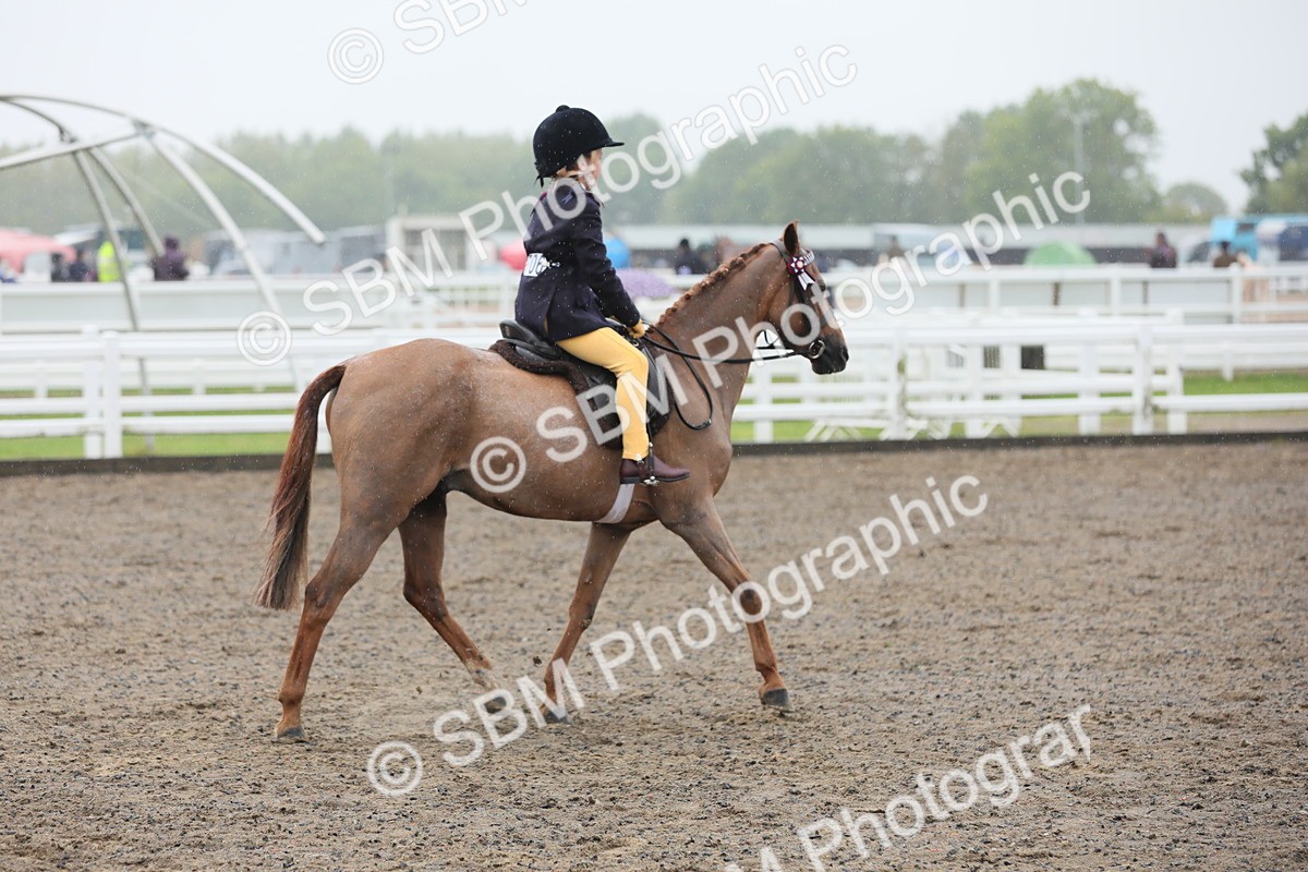 SBM_20588 - Class 804 - Ridden Veteran Pony