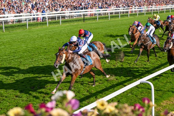 240824-Race 7-Sir Busker-1996 - Race 7 5.20pm Sky Bet Finale Handicap