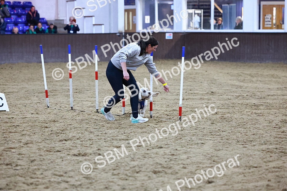 SBM_005922 - Evening Performance