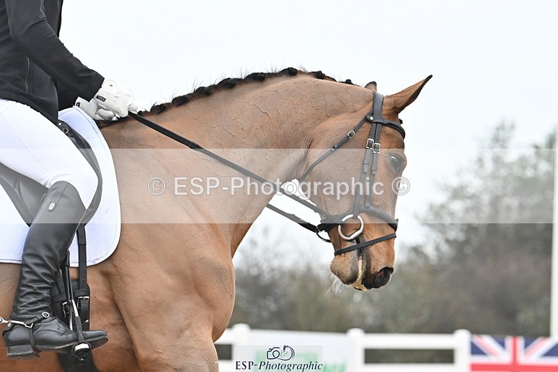 240217A-112047-01302 - 249-Joe.Roome-Acqua.Marina.Della.Caccia