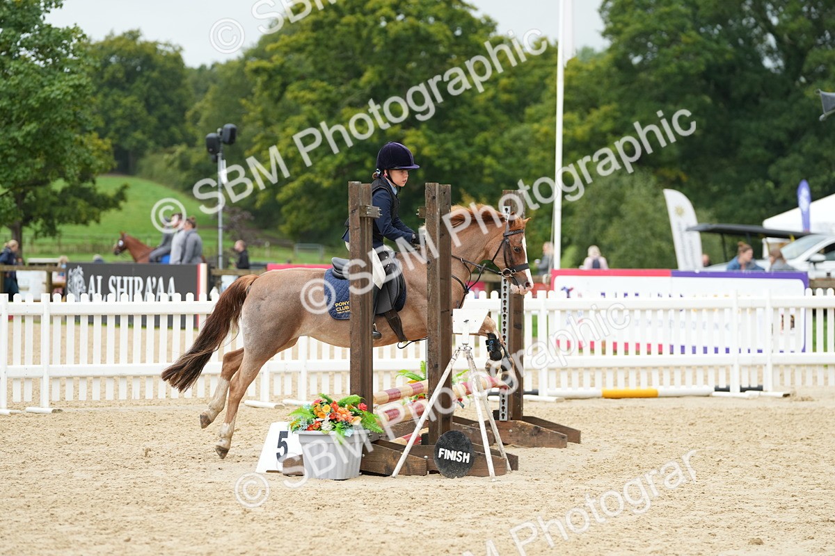 SBM_33412 - J5 - Junior Pony 50cm Championship