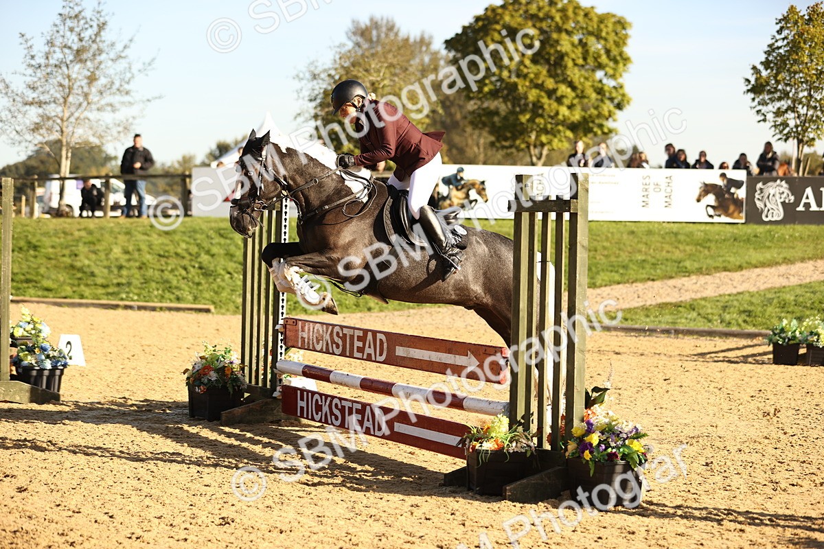 SBM_34725 - J38 - Senior 80cm Championship