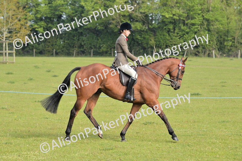 20260426-0875 - Class 18 - Novice Showing
