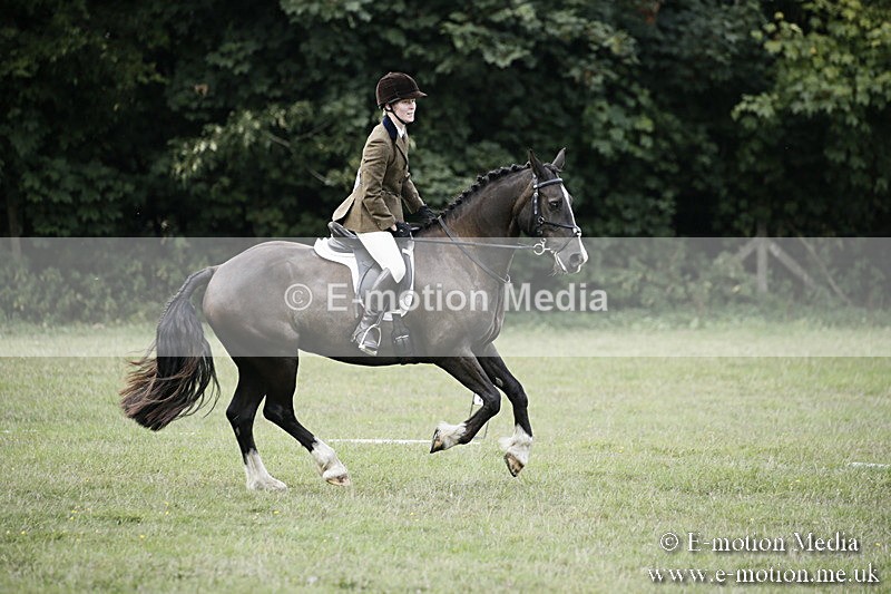 BVR090918 288 - BVRC Dressage and Show Jumping 09/09/18