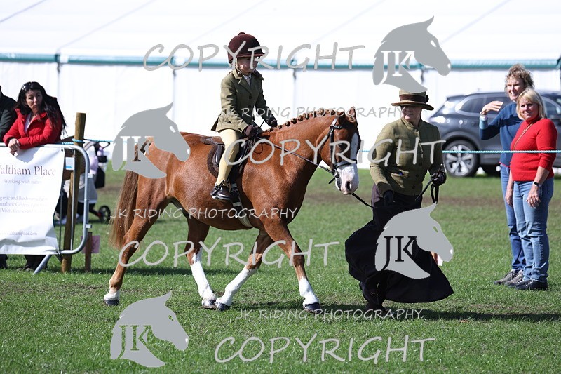 APP_3845 - Class 13 Lead rein