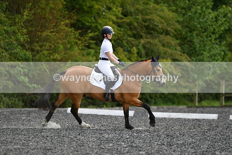 WJ5_1049 - Time 13:45 to 14:20