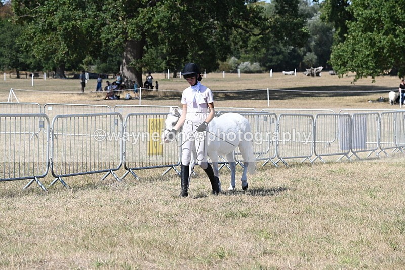 WJ6_9445 - Class 40 Cheekiest Pony/Horse
